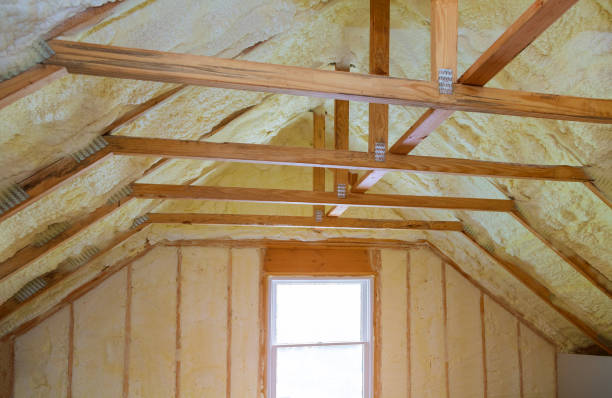 Best Commercial Insulation in Hampton, IL