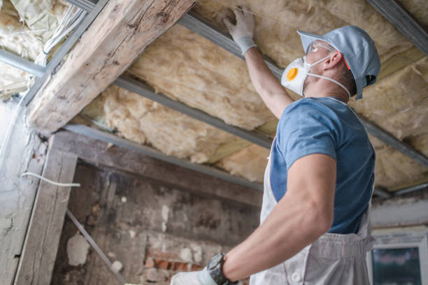 Trusted Hampton, IL Insulation Contractor Experts