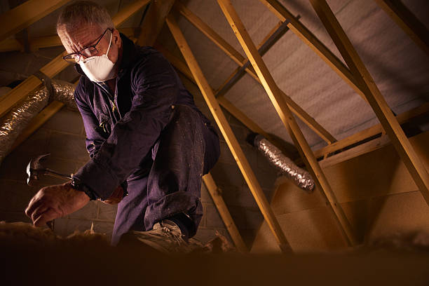Best Residential Insulation in Hampton, IL
